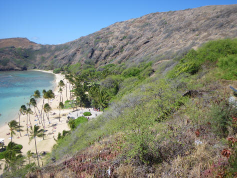 Ecology at Hanauma Bay Oahu