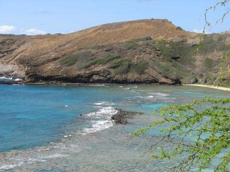 Outer Reef at Hanauma Bay, Oahu Hawaii