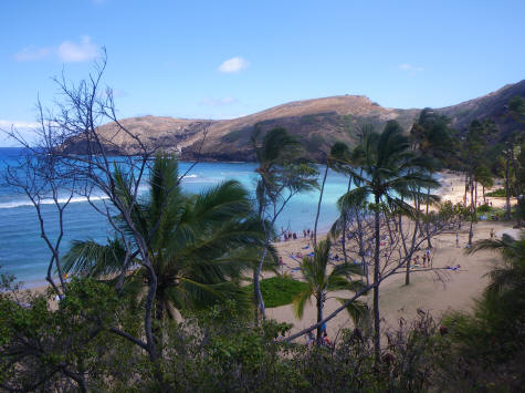 Underwater Park at Hanauma Bay, Ohio Hawaii