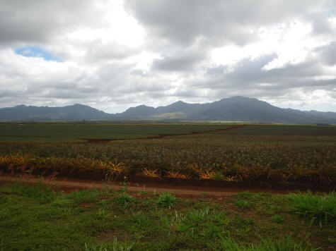 Waianae Mountains on the Island of Oahu in Hawaii