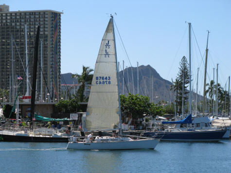 Yacht Harbor in the Honolulu Waikiki Area of Oahu Hawaii